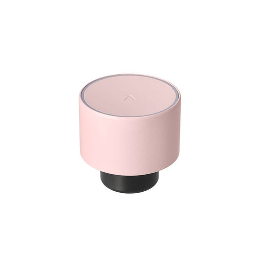 LARQ Bottle PureVis™ Cap - US 2943